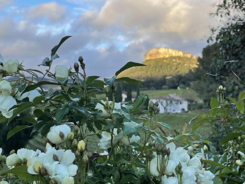 Le clos de la tour Cassis gîte à louer Sainte-Croix
