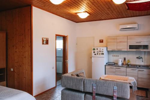 Villa Alexandr - image 11