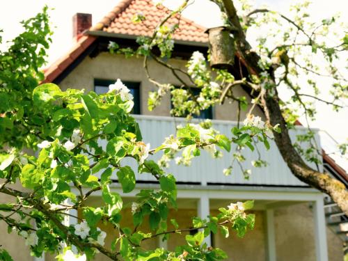 Ferienwohnung Rohlffs Stolpe auf Usedom