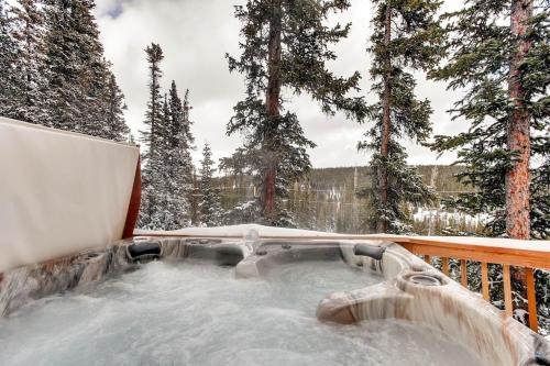 Immaculate & Private Mountain Home with Hot Tub - Sugar Pine Lodge in Alma (CO)