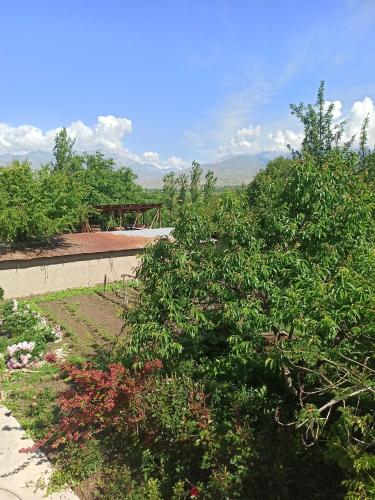 Toktogul Ghesthouse in Toktogul