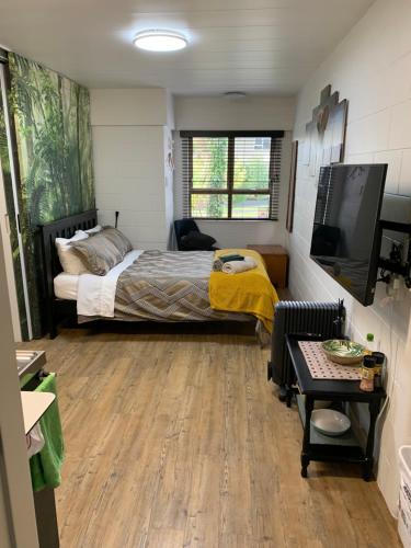 Suburban Studio - Apartment - Hamilton