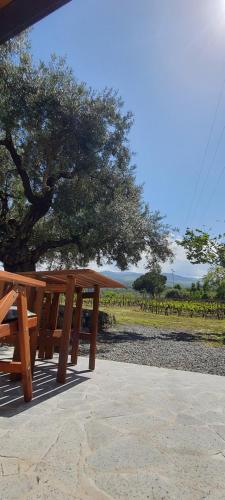  La finestra sul vigneto in Castiglione di Sicilia
