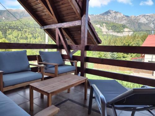 Poiana dintre Brazi Chalet, Bucegi Panorama