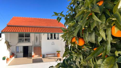 Casa do Avô Patrício - Amazing Country House