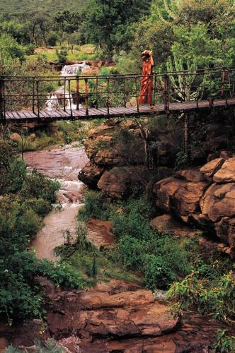 Makweti Safari Lodge