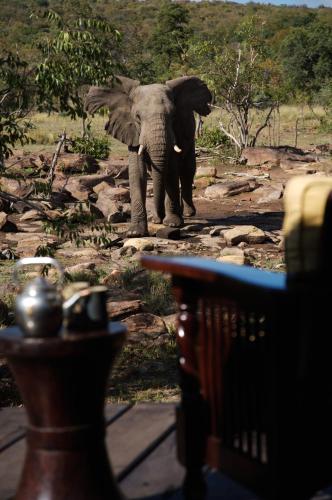 Makweti Safari Lodge