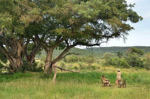 Makweti Safari Lodge