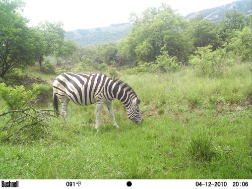 Valhalla Ranch, Dundee (foto 4)