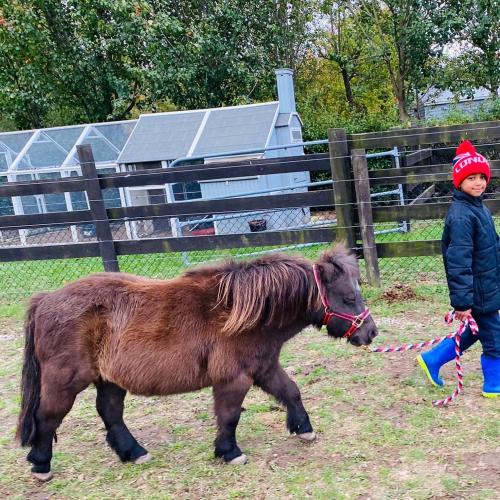Farm Stay MAPLE Cottage at Wilindi Estate