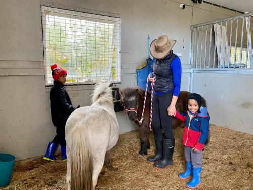 Farm Stay MAPLE Cottage at Wilindi Estate
