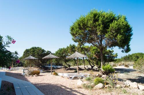 Lago Playa - image 9