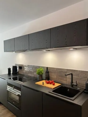 Apartmenthaus Stade Schwingewiesen Apartment 4 in Stade, Deutschland