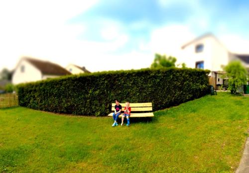 Ferienhaus Zum Hochstein in 埃特靈恩