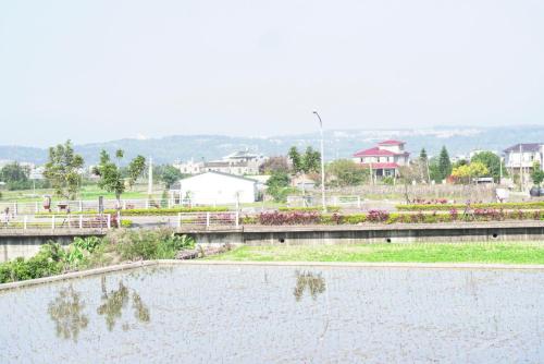 Chih Cha Jyu - 전망