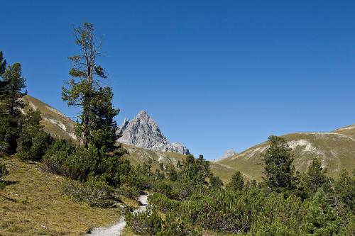 Panorama Lodge - image 31