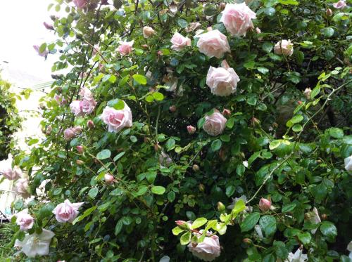Loire Valley Medieval Getaway - image 8