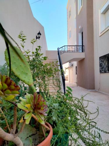 花園, Studio à Hammam Sousse (Studio a Hammam Sousse) in 海曼蘇斯
