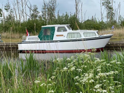  Boat Albatros - kamperen op het water - niet om mee te varen - read host profile-lees hostprofiel, Unterkunft in Jutrijp