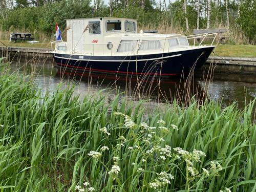 Boat Ella - kamperen op het water -niet om mee te varen -read host profile-lees hostprofiel, Unterkunft in Jutrijp