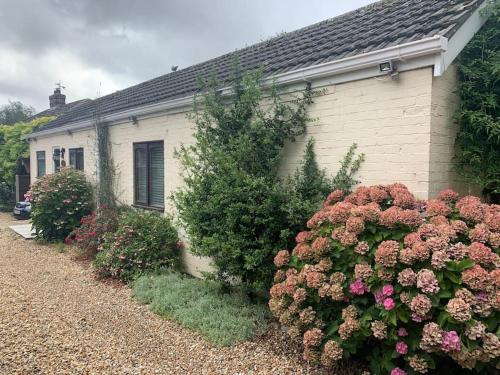 Detached cottage in lovely village setting gîte à louer Cowplain
