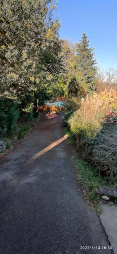 B&B En plein coeur de la forêt (B&B En plein coeur de la foret) in 其他地區