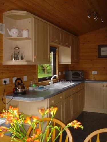 Kitchen, Loch Lomond Lodge in Rowardennan