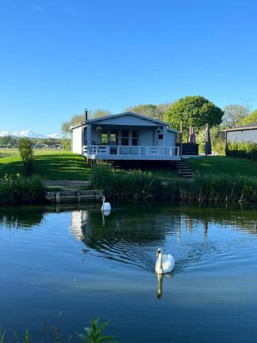 Choller Lake Lodges - Primrose Cabin With Private Hot Tub Choller Lake Lodges - Primrose Cabin With Private Hot Tub