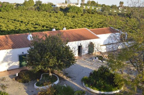 Hortas De Baixo Luz De Tavira – Tavira, NM