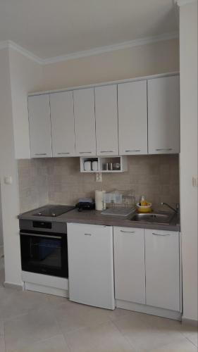 Apartman PETRA Green Hill in Zagrade