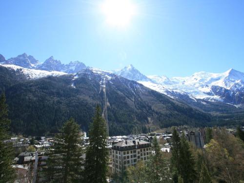 Appartement Chamonix-Mont-Blanc 3 pièces 6 personnes - FR-1-507-2 - image 9