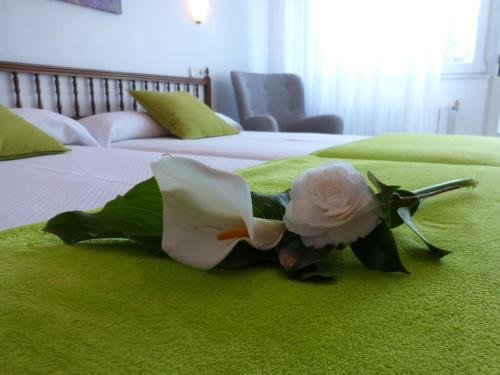 Double or Twin Room with Terrace