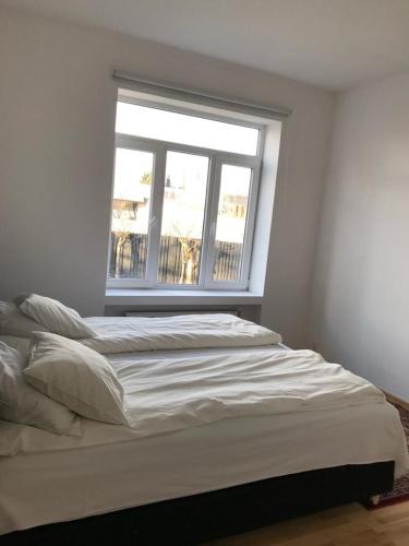 A1 Stay Apartments 1