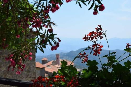 Case Vacanze Nel Parco Nazionale Del Cilento in Стела Сіленто