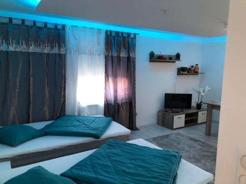 Appartement Willa chez willi in Niederschaeffolsheim