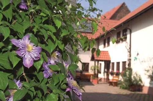 Pension Gästehaus Kachelofa - main image