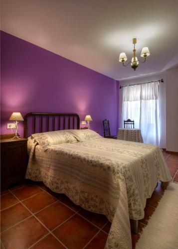 Paloma - image 8