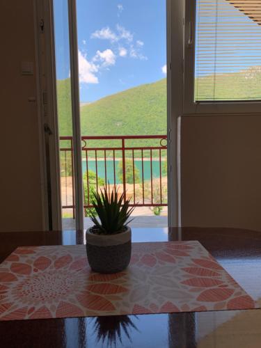 Apartment Osmajic in Pluzine
