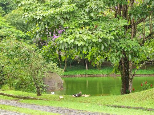 Casa confortavel pra relaxar na serra