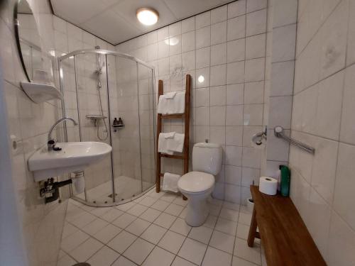Bathroom, Eursingerhof in Havelte