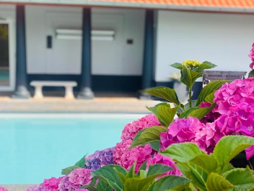 Wellnesshotel Spabron - image 4