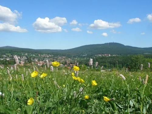Harzpension Haus Königskopf in Braunlage, Deutschland