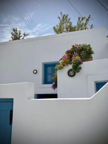 Cannella House - image 7