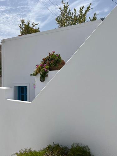 Cannella House - image 12