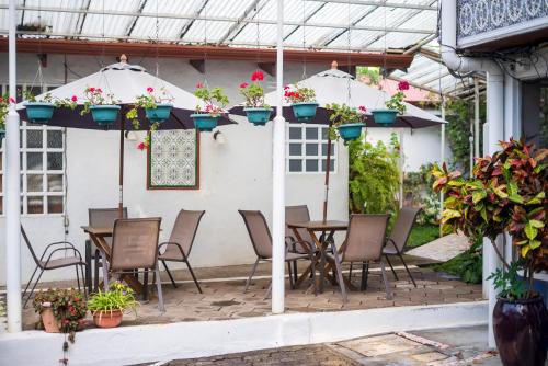 Hotel Ave del Paraiso in San Jose