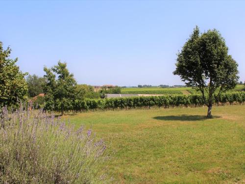 Gîte Saussignac, 7 pièces, 13 personnes - FR-1-616-128