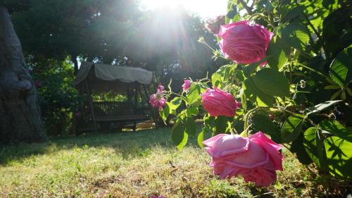 KAVET Palio Cottage KAVET Palio Cottage