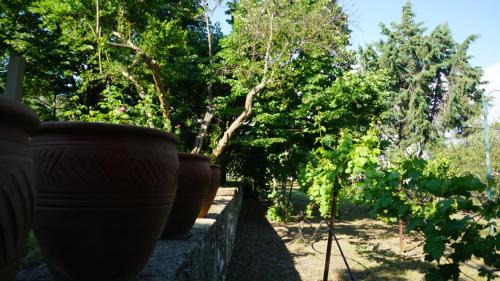 KAVET Palio Cottage KAVET Palio Cottage