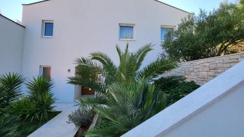 Korčula - apartman 1, Prigradica - IVAN, Blato (fotografie 4)