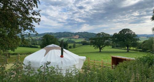 The Yurt @ Osmore - Hotel - Axminster